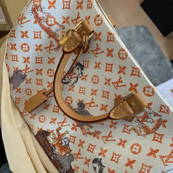 ❌EXCLUSIVE Louis Vuitton Catogram Speedy White Bag - Picture 6 of 14